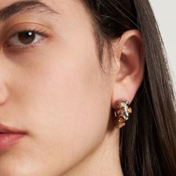 NWT$725 Dries Van Noten Brass Silver Colored Crystal Embellished Hoop Earrings - Picture 7 of 16